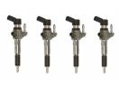 9674973080 - Reparatii Injectoare Continental Ford, Peugeot, Volvo 1.6